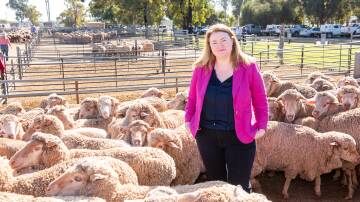 Agriculture Minister Tara Moriarty during a visit to Griffith saleyards to announce funding for eID. Picture supplied.