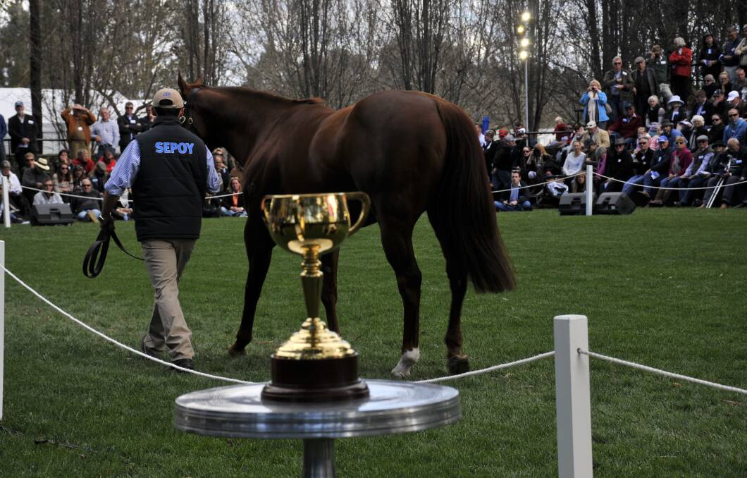 TERRIFIC EVENT: Darley's annual stallion parade drew visitors from as far as interstate and New Zealand, with spectators treated to a display of the Melbourne Cup. Picture: Louise Nichols