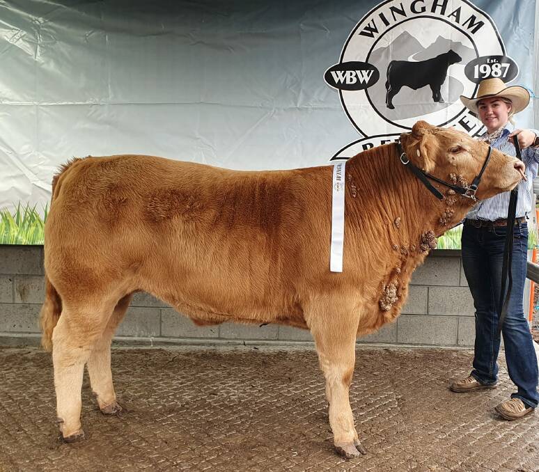 Exhibited by St Joseph's College Aberdeen the Neil Nelson bred Heavy Midweight steer scored 91.14 on the hook. Picture supplied 