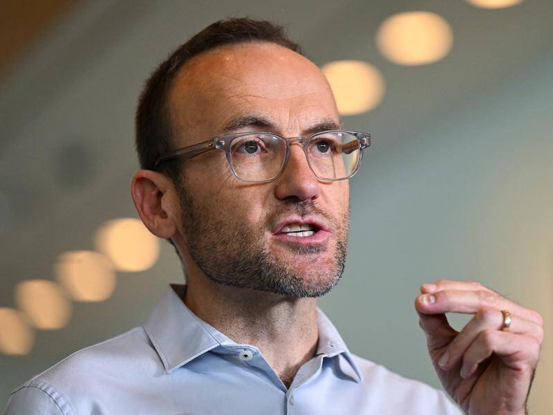 Adam Bandt says the government needs to do more to lower emissions and phase out coal and gas. (Lukas Coch/AAP PHOTOS)