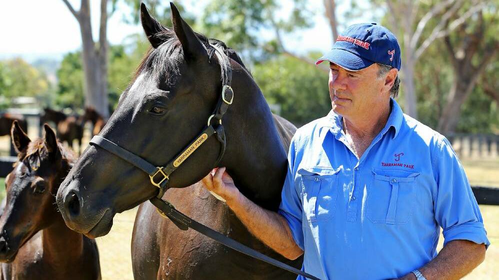 WORRIED: Hunter breeder Arthur Mitchell, from Yarraman Park Stud. Mr Mitchell says he is concerned about an equine herpes outbreak in the region. Pic: GEORGIE MITCHELL